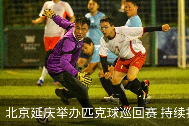 北京延庆举办匹克球巡回赛 持续擦亮户外运动城市名片