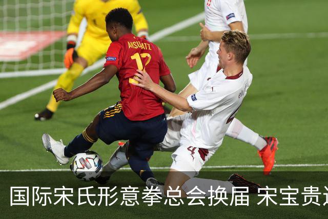 国际宋氏形意拳总会换届 宋宝贵连任会长持续推动武术海外传播