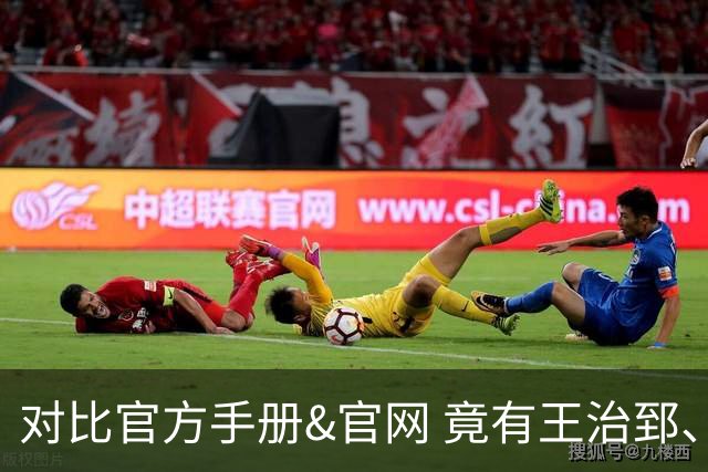 对比官方手册&官网 竟有王治郅、杜锋、杨鸣等30多名球员年龄存疑