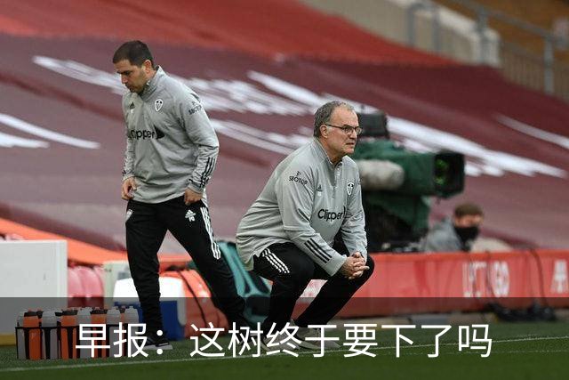 早报：这树终于要下了吗