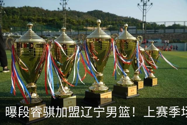 曝段睿骐加盟辽宁男篮！上赛季场均12分4助2板，刘子庆要打造未来